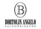 bortolin_angelo